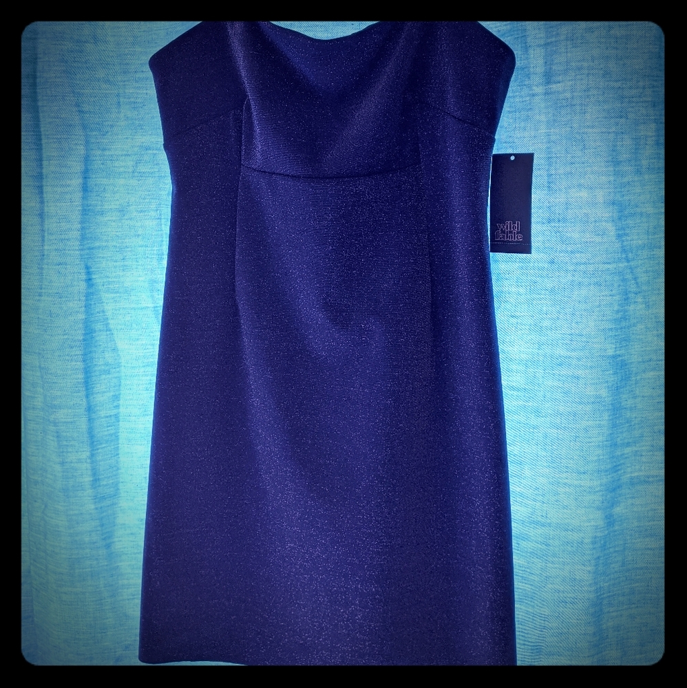 NWT Wild and Fable Party Dress
